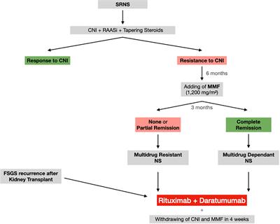 Biologics in steroid resistant nephrotic syndrome in childhood: review and new hypothesis-driven treatment